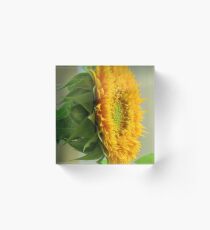 Sunflower Acrylic Block