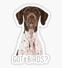 german shorthaired pointer got birds? Sticker