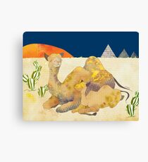 Camels in Egypt Canvas Print