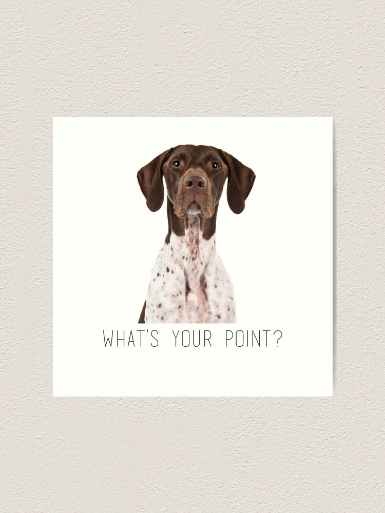 German Shorthaired Pointer What S Your Point Art Print By