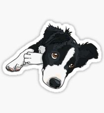 Border-Collie-Dog #5 Sticker
