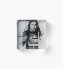 Sophie turner Acrylic Block