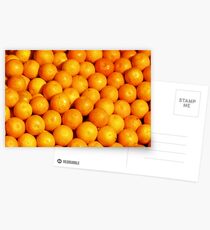 Oranges Postcards