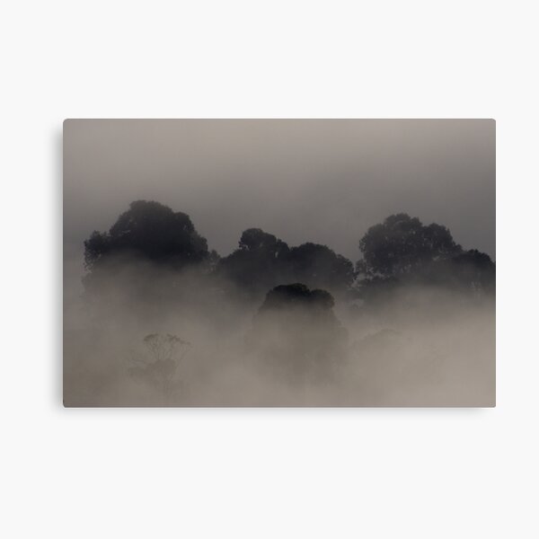 Trees in the Mist Canvas Print