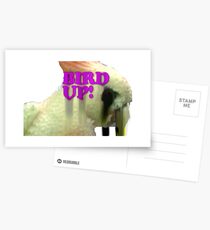 Bird Up Postcards