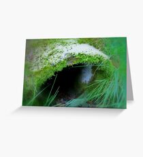 Enchanted Forest - The Witch´s Abode Greeting Card