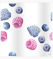 Blueberry watercolor Poster