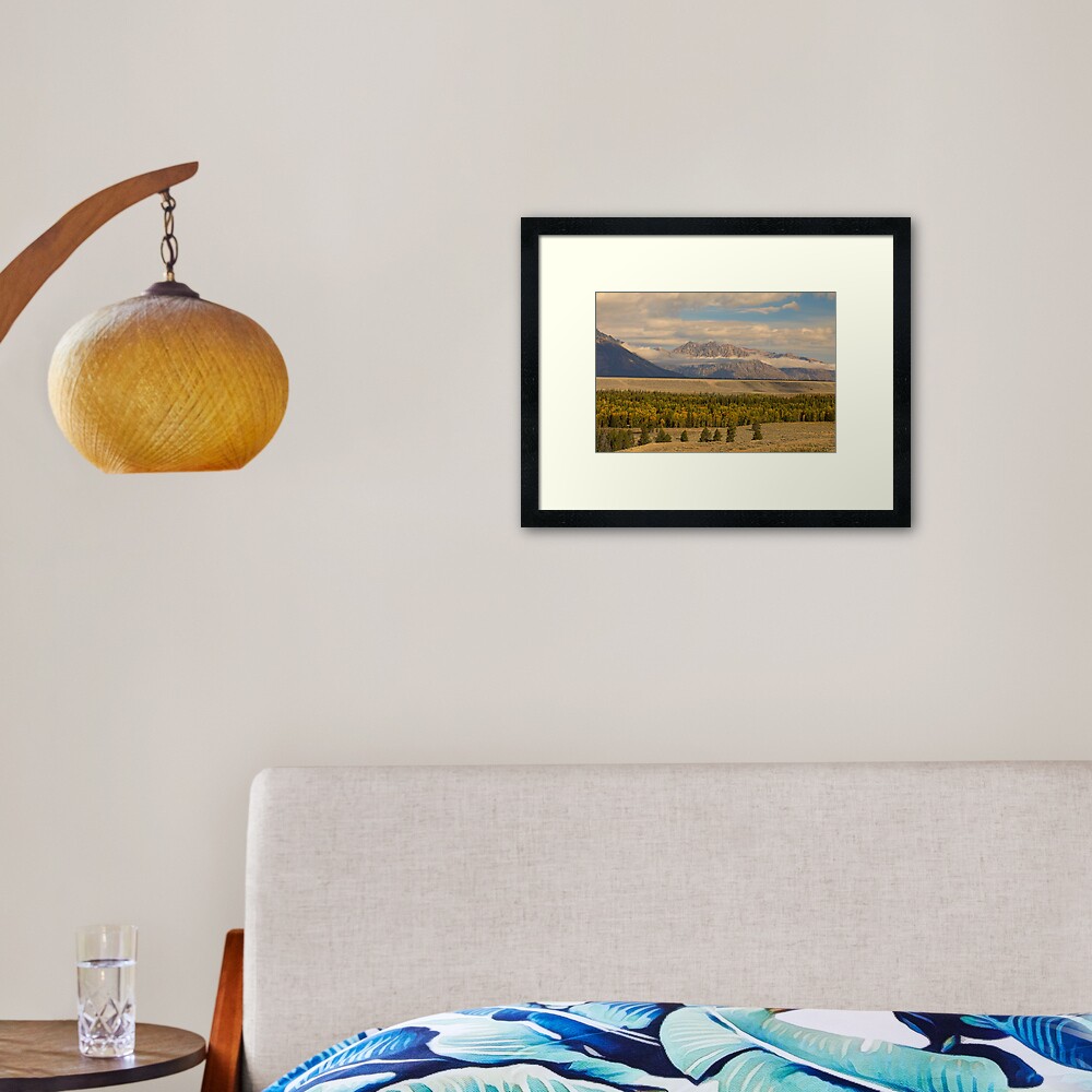 Tetons Views Framed Art Print