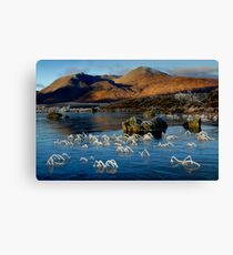 Morning frost - Lochan na h-Achlaise Canvas Print