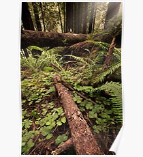 Fallen Giants Poster