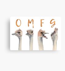 OMFG Ostriches Canvas Print