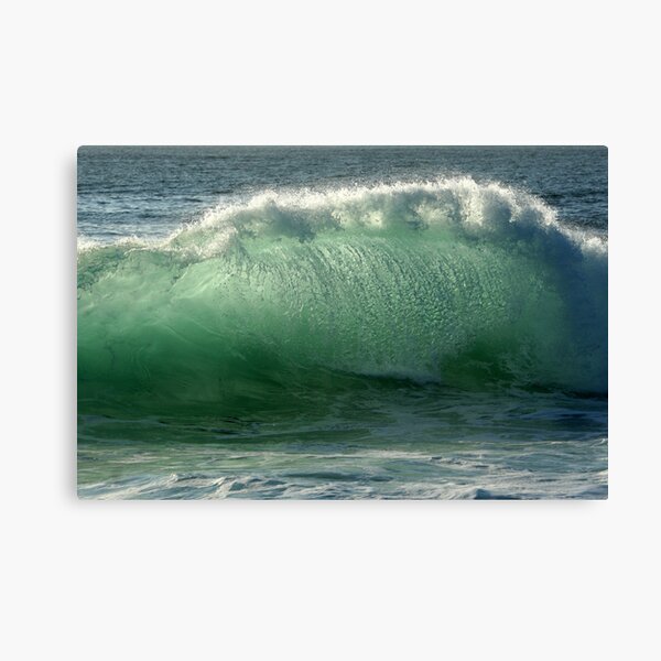 Backlit Wave Canvas Print