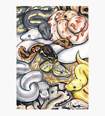 Pile O' Pythons Photographic Print