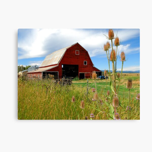 Barn & Thistle Canvas Print