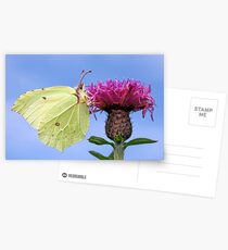 Brimstone 1 Postcards