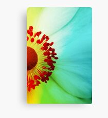 Colour Wheel Canvas Print