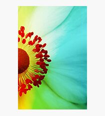 Colour Wheel Photographic Print