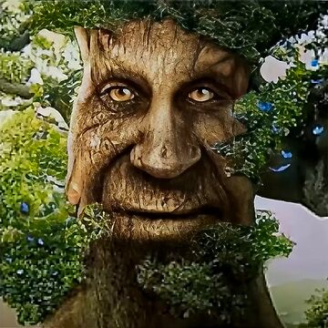 Wise Mystical Tree Face Old Mythical Oak Tree Funny Meme Baby