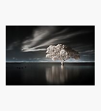 Tree in Water Photographic Print