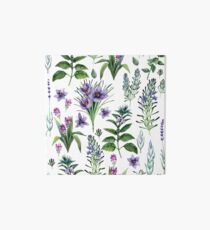 Watercolor botanical collection of herbs and spices Art Board Print