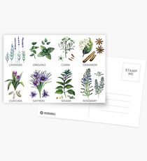 Botanische Sammlung des Aquarells Kräuter und Gewürze Postkarten