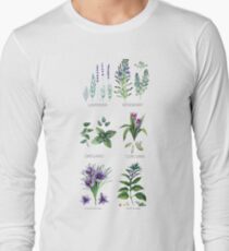 Watercolor botanical collection of herbs and spices Long Sleeve T-Shirt