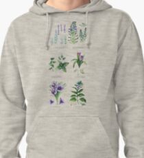 Watercolor botanical collection of herbs and spices Pullover Hoodie