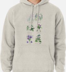 Sudadera con capucha Colección botánica de acuarela de hierbas y especias