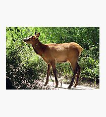Beautiful Baby Photographic Print