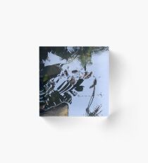 Where Giant Water Striders Live Acrylic Block