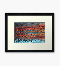 Garden Framed Print