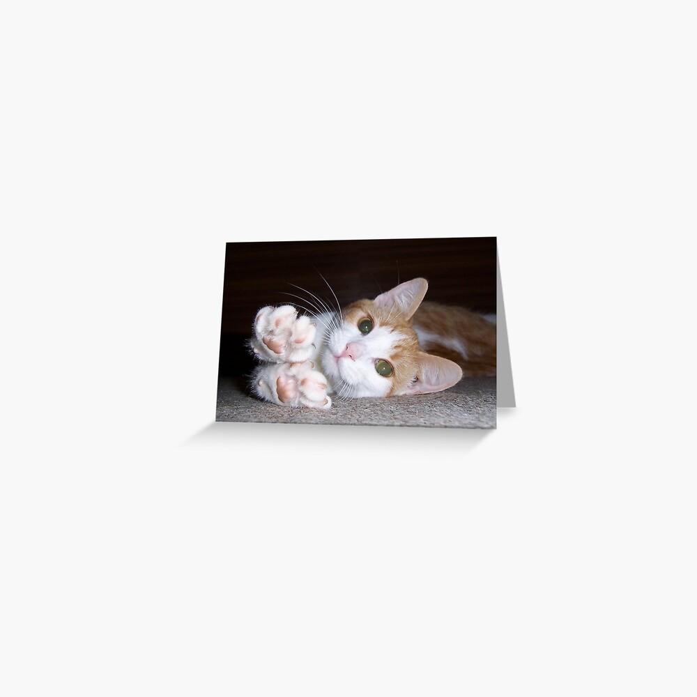 "Pebbles" Greeting Card