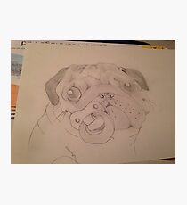 Fur baby Photographic Print