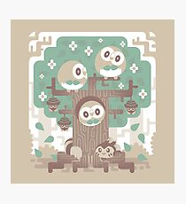 Wood Owl Woods Photographic Print
