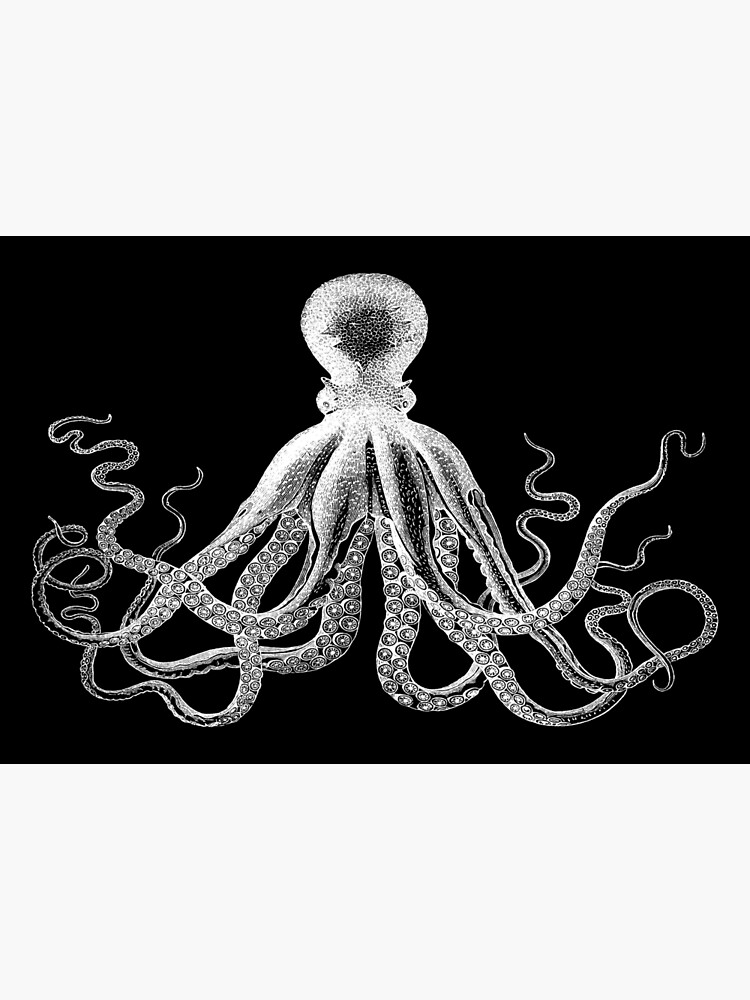 Krake | Weinlese-Krake | Tentakeln | Meeresbewohner | Nautik | Ozean | Meer | Strand | Schwarz und weiß | von EclecticAtHeART