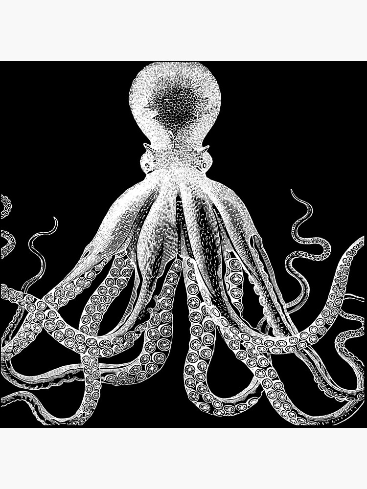 Krake | Weinlese-Krake | Tentakeln | Meeresbewohner | Nautik | Ozean | Meer | Strand | Schwarz und weiß | von EclecticAtHeART