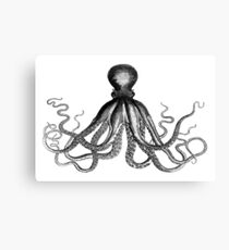 Oktopus | Schwarz und weiß Leinwanddruck