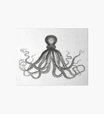 Oktopus | Schwarz und weiß Galeriedruck