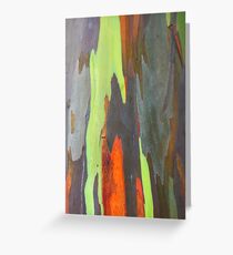 Colorful peeling bark - 2011 Greeting Card