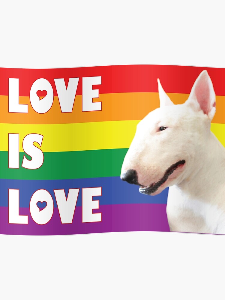 Resultado de imagen para bull terrier amor