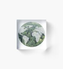Bloque acrílico Forest World