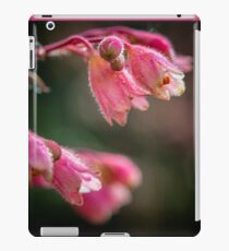 Details iPad Case/Skin