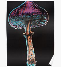 Magic Mushroom LSD Tripppy Psychadelic Poster
