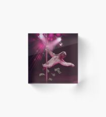 Sloth Stripper Acrylic Block