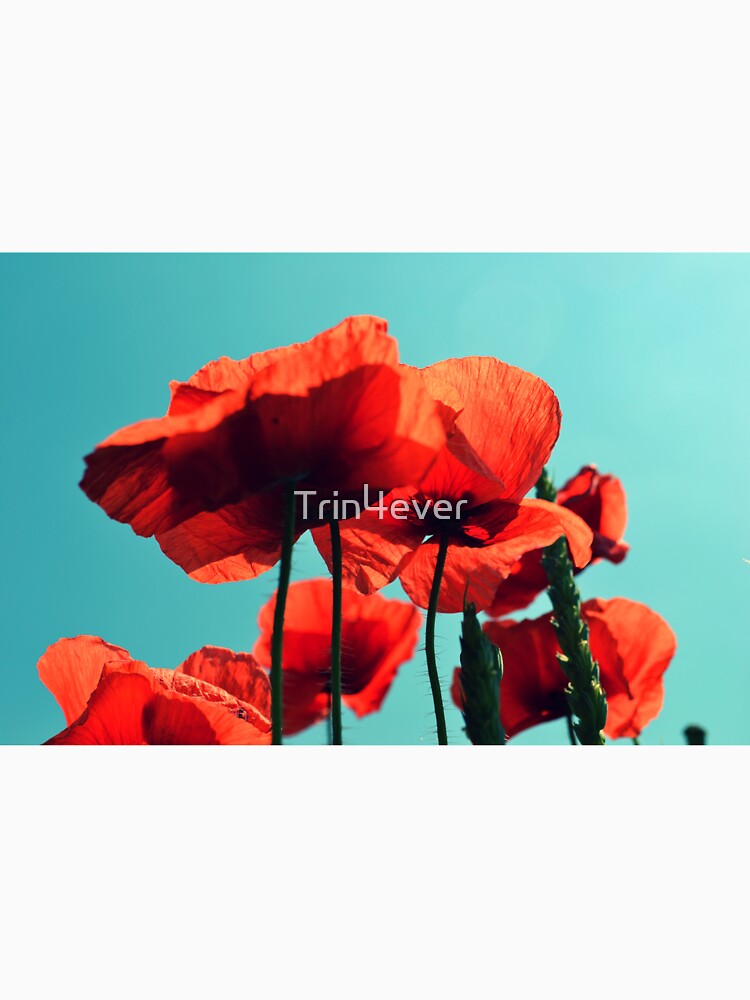 Red weed under the sky by Trin4ever