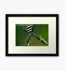 St Andrews Framed Print