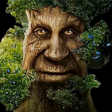 Wise Mystical Tree Face Old Mythical Oak Tree Funny Meme Drawstring Bag