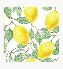 sweet lemons Photographic Print