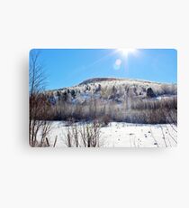 The Glory of Freezing Rain Canvas Print
