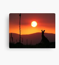 Aussie Sunset Canvas Print